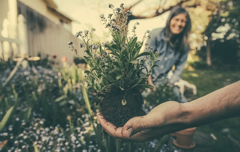 Best Planting Hacks DIY You'll Love